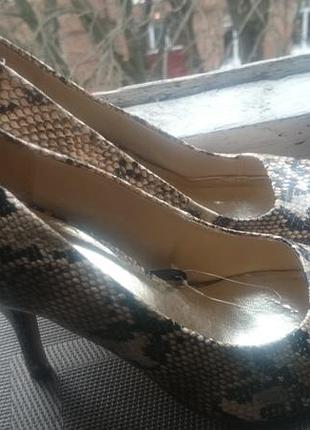 Трендовые туфли 2018-2019, расцветка рептилия