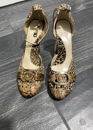 Тигрові туфлі