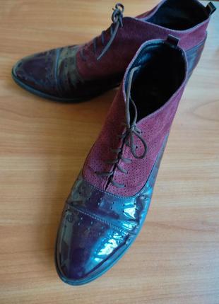 Туфлі черевички бордового кольору
