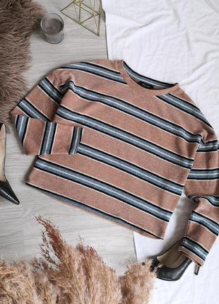 Базовий бєжєвий велюровий светр в смужку