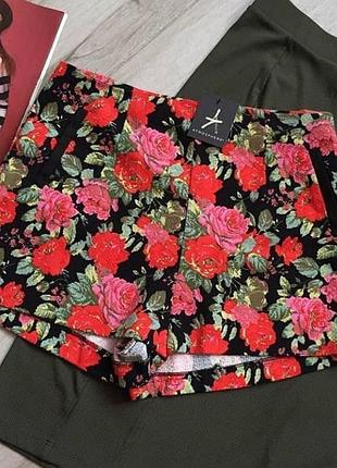 Щільні нові шорти в кольорах atmosphere