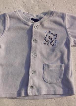 Lupilu. кофта велюровая на пуговицах. на 2-6 месяцев. размер 62-68.