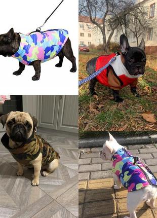 Жилетка для собак жилетка для цуценят одяг для собак одежда для собак жилетка для кота