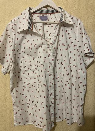 Біла рубашка laura scott