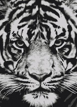 Взгляд зверя