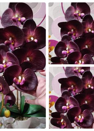 Шикарная необычная орхидея фаленопсис силикон композиция искусственная в горшке