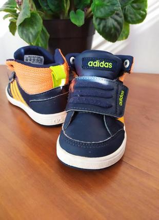 Хайтопи adidas