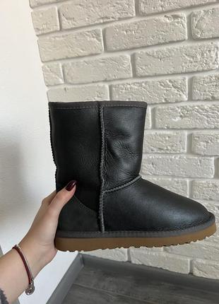 Ugg оригинал, угги2 фото