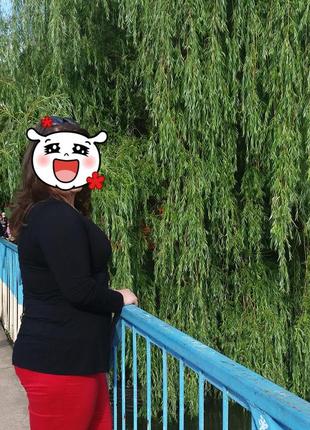 Кофта на гудзиках   314 2