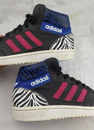 Стильні яскраві кросівки кеди хайтопи adidas originals pro play force superstar gazelle samba оригінал адідас2 фото