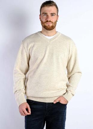 Свитер мужской 85f503 батал, джемпер, пуловер, кофта6 фото