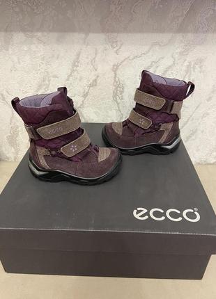 Ботинки еcco1 фото