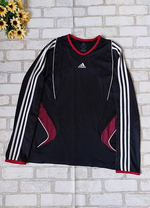 Спортивная кофта реглан adidas мужской