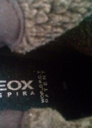 Шкіряні зимні чоботи geox5 фото
