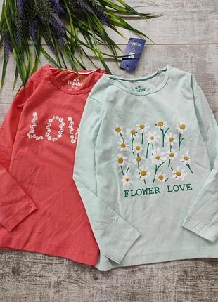 Комплект набор лонгслив реглан lupilu