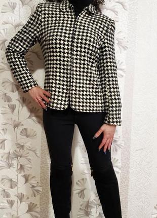 Пиджак гусиная лапка пальто