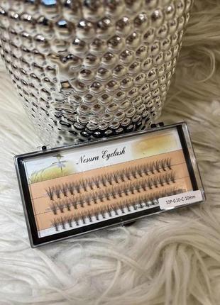 Вії пучками nesura eyelash 10d