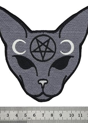 Нашивка cat with pentagram