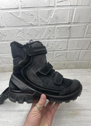 Сапожки ecco gore-tex