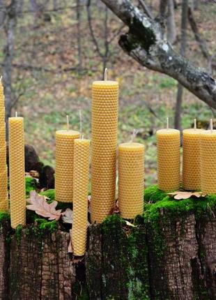 Медові свічки з вощини ручної роботи
