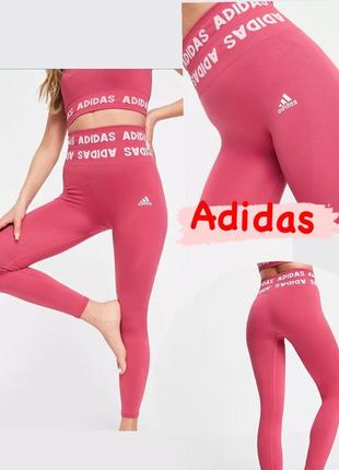 Лосіни adidas