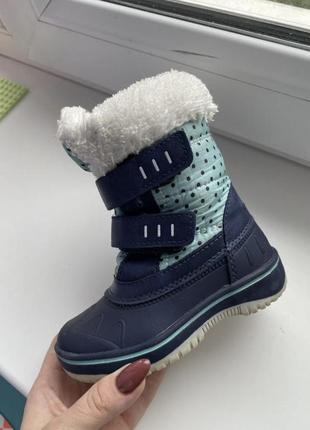 Термо ботинки зимние ботиночки зимние сапоги высокие ботинки lupilu🔥🔥3 фото