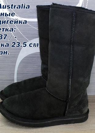 Сапоги угги ugg australia.1 фото