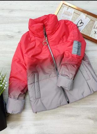 Демисезонная  курточка градиент