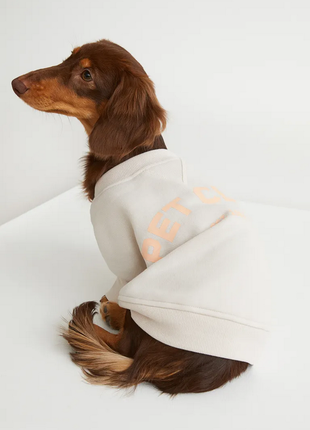 Світшот h&m на маленьку собачку