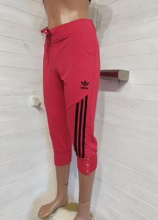 Спортивные бриджи adidas xxl3 фото