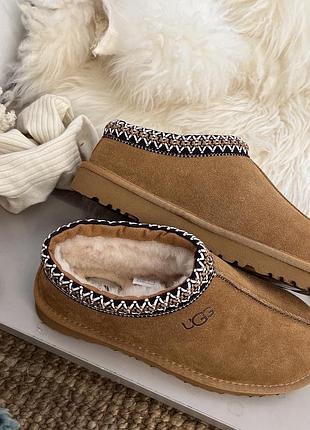 Уггі від ugg tasman