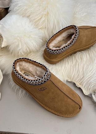Уггі від ugg tasman