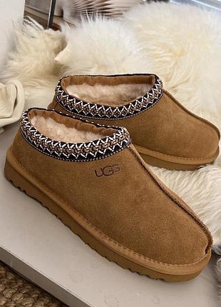 Уггі від ugg tasman