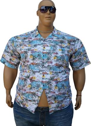 Гавайская мужская рубашка большого размера.1 фото