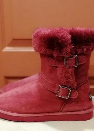 Сапоги ugg lam.