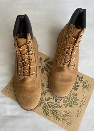 Ботинки timberland premium 12909 boys