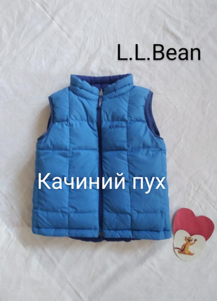 Дутий стьобаний пуховий двухсторонній жилет бренду l.l.bean uk 6-7 eur 116-1221 фото