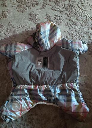 Комбінезон для собаки pet fashion