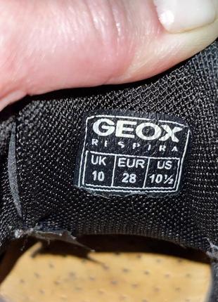 Ботинки geox4 фото