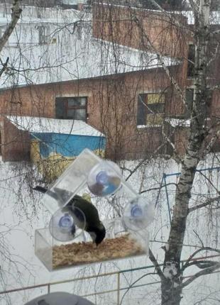 Якісна віконна прозора годівниця для птахів на скло на вікно будиночок акрилова4 фото