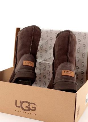 Угги ugg 8