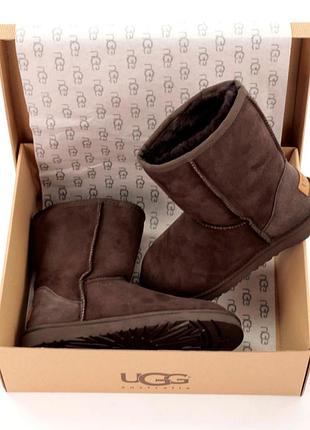 Угги ugg 4