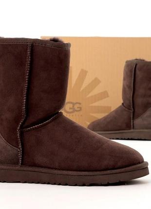 Женские высокие угги на овчине ugg зима