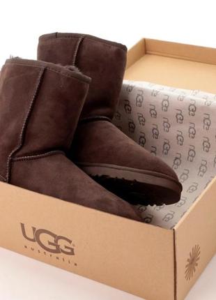 Женские высокие угги на овчине ugg зима6 фото