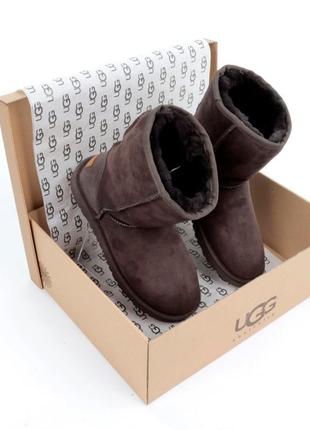 Женские высокие угги на овчине ugg зима4 фото