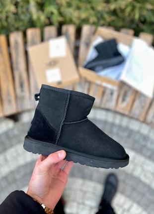 Зимові уггі ugg classic mini ii boot