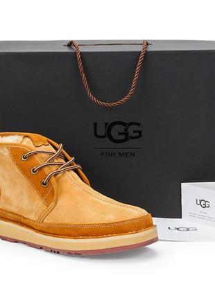 Натуральні чоловічі зимові чоботи ugg australia (david beckham)1 фото