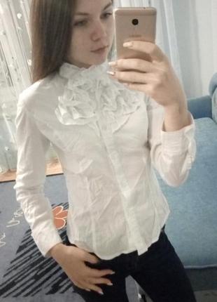 Блуза/сорочка ошатна, в школу/для офісу, куплена в італії!🇮🇹 / обмін чи продажів2 фото