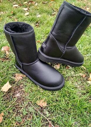 Жіночі уггі Высокие женские сапоги sneakers ugg short ii boot "black"
