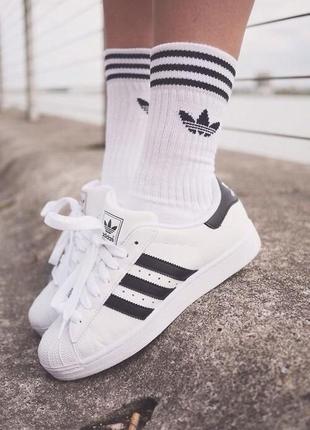 Брендові шкарпетки adidas. супер якість! белые носки в рубчик